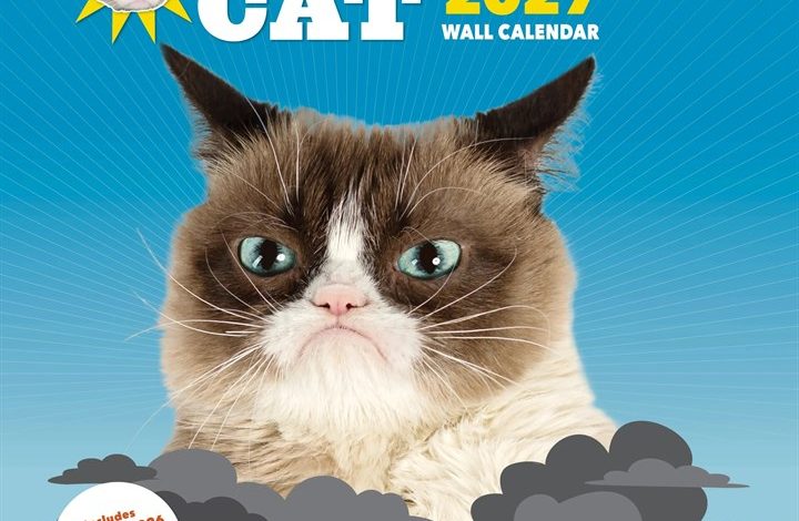 Grumpy Cat Calendar 2027