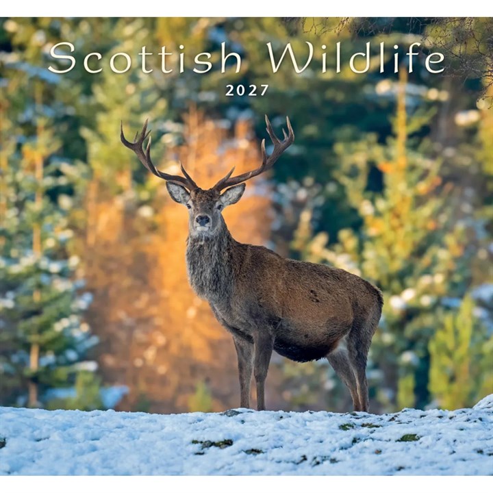 Colin Baxter, Scottish Wildlife Calendar 2027