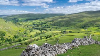 Yorkshire Dalesman Deluxe Calendar 2027