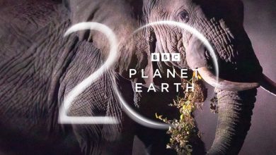 BBC Planet Earth Calendar 2027