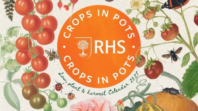 RHS