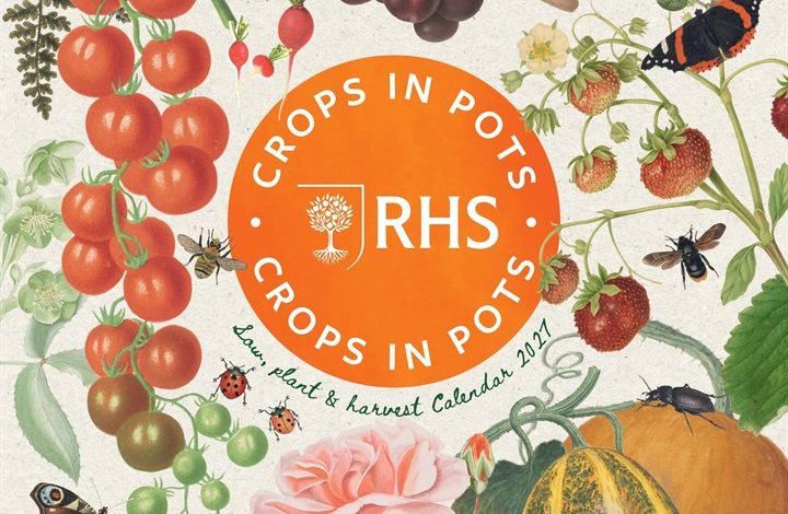RHS