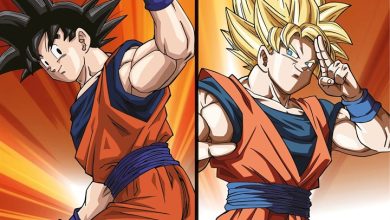 Dragonball Z Calendar 2027