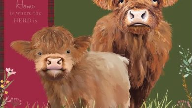 Highland Cows Family Organiser 2027