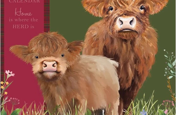 Highland Cows Family Organiser 2027