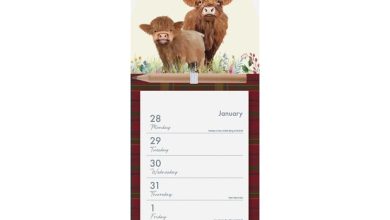 Highland Cows Magnetic Calendar 2027