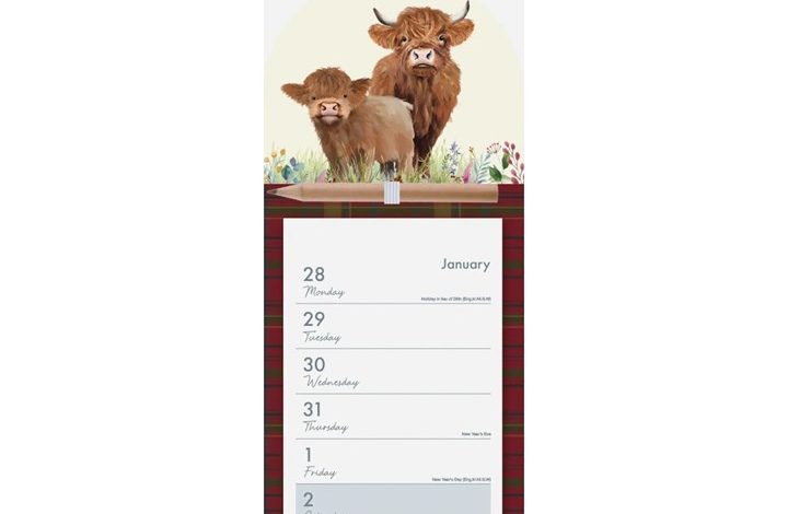 Highland Cows Magnetic Calendar 2027