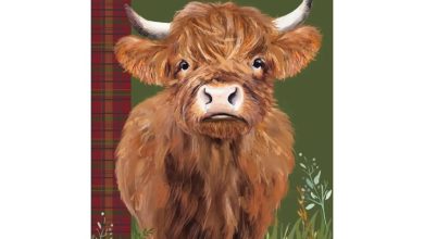 Highland Cows Slim Diary 2027