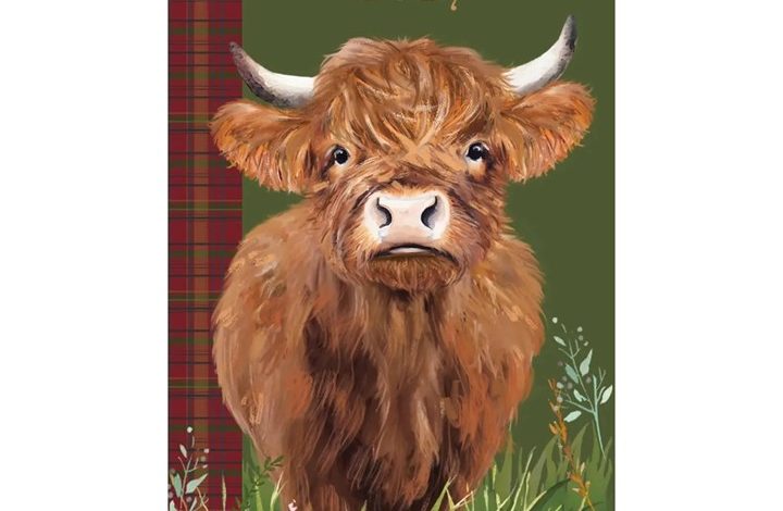 Highland Cows Slim Diary 2027