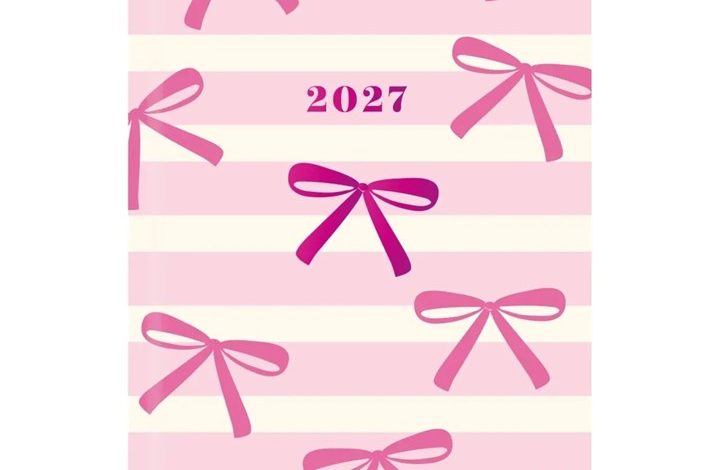 Ribbons Daisies A7 Diary 2027