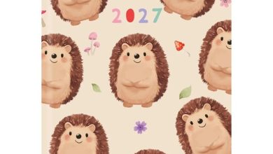 Hedgehogs A6 Diary 2027
