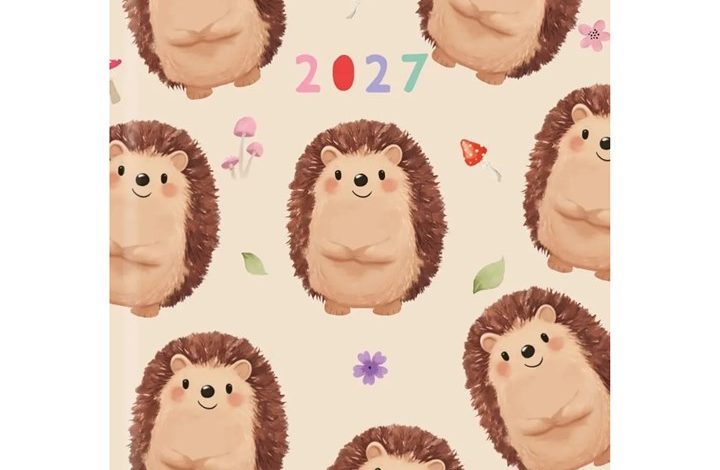 Hedgehogs A6 Diary 2027