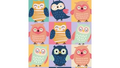 Owls Slim Diary 2027