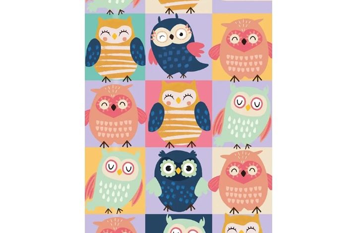 Owls Slim Diary 2027