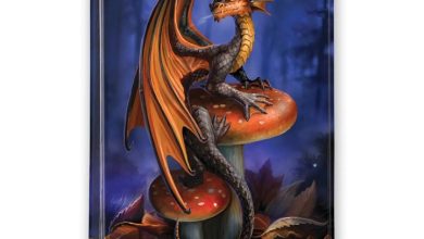 Anne Stokes A6 Diary 2027