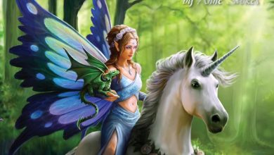 Anne Stokes