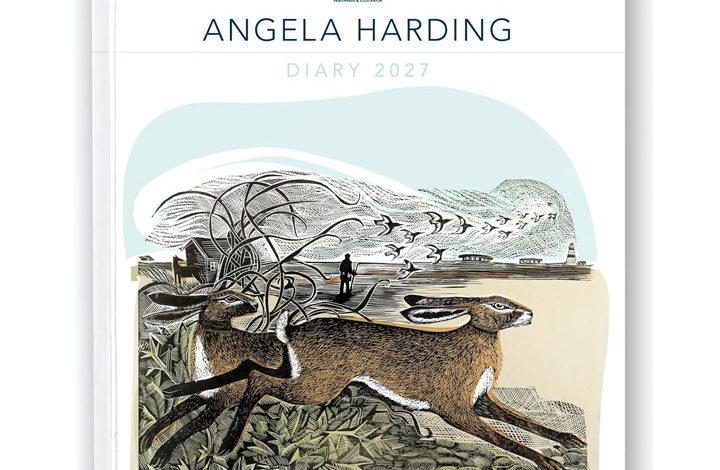 Angela Harding A5 Diary 2027