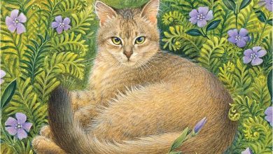 Ivory Cats Mini Calendar 2027