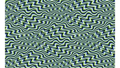 Optical Illusions Calendar 2027