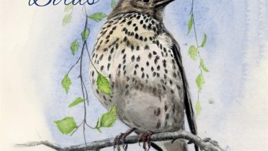 Chris Pendleton's Garden Birds Calendar 2027