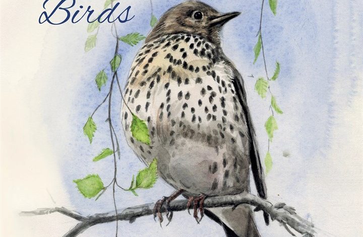Chris Pendleton's Garden Birds Calendar 2027