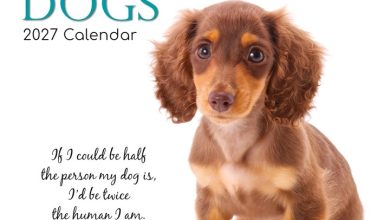 Adorable Dogs Calendar 2027