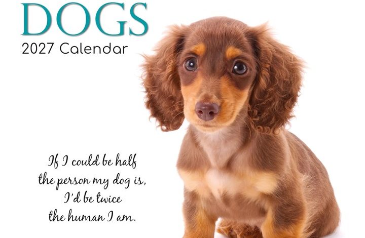 Adorable Dogs Calendar 2027