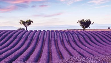 Provence Calendar 2027