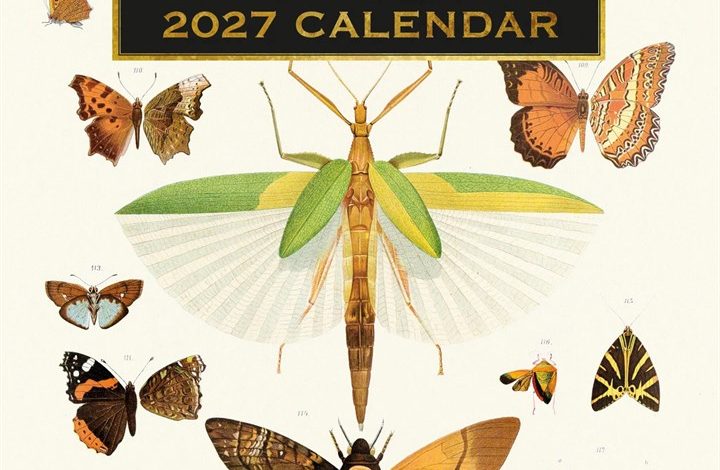 Insects Calendar 2027