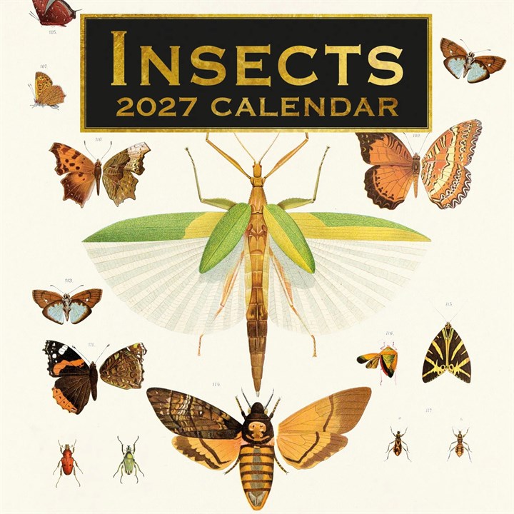 Insects Calendar 2027