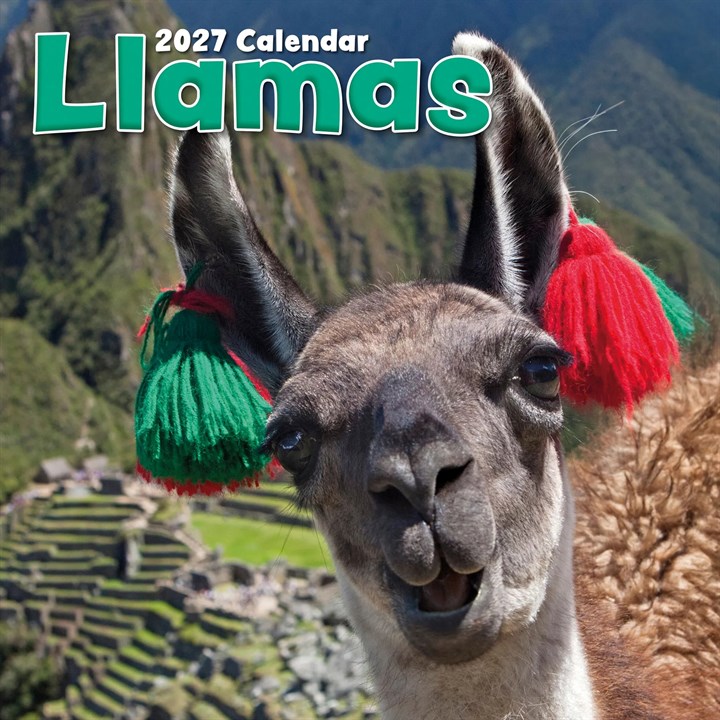 Llamas Calendar 2027