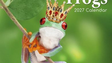 Fabulous Frogs Calendar 2027