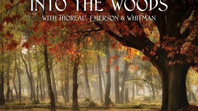 Into The Woods Deluxe Calendar 2027