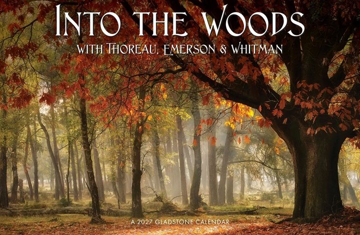 Into The Woods Deluxe Calendar 2027