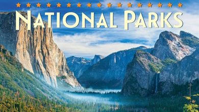 America's National Parks Desk Calendar 2027