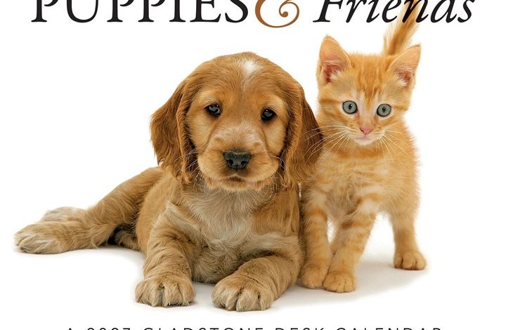 Puppies & Friends Desk Calendar 2027