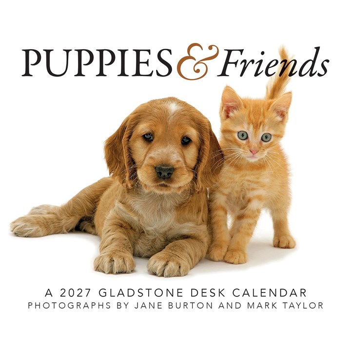 Puppies & Friends Desk Calendar 2027
