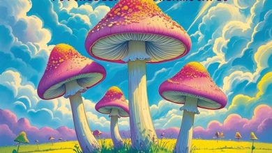 Trippy Shrooms Calendar 2027