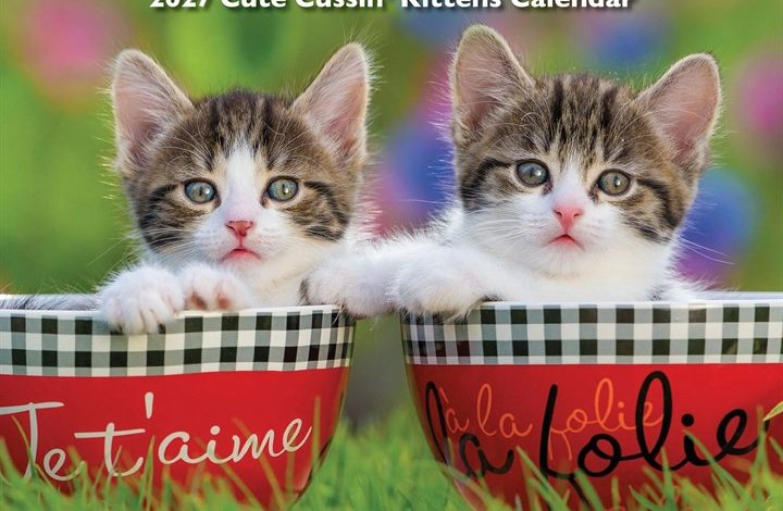 What the F*ck Kitty Calendar 2027