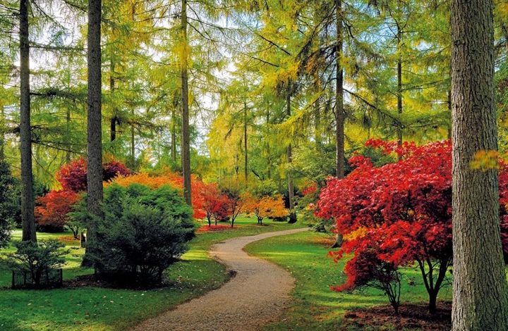 Westonbirt