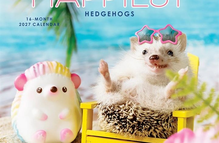 The Happiest Hedgehogs Mini Calendar 2027
