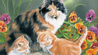 Cats In The Country Deluxe Calendar 2027