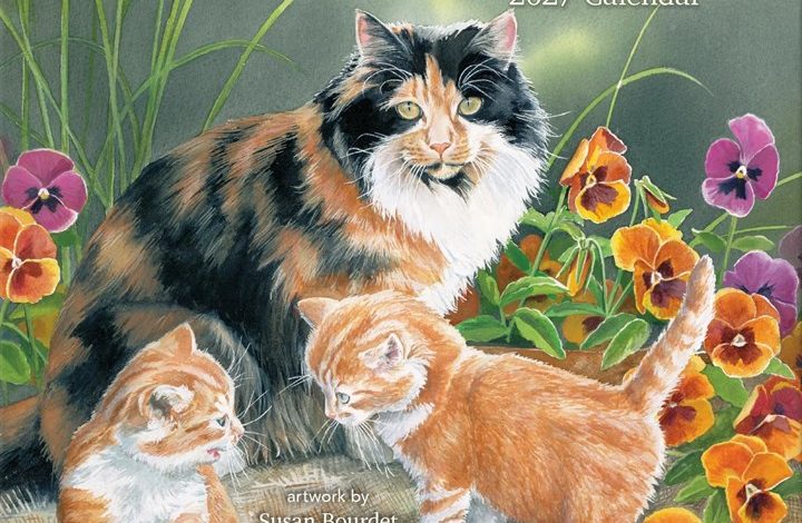 Cats In The Country Deluxe Calendar 2027