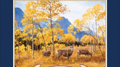 Four Seasons Deluxe Calendar 2027
