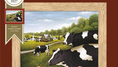 Cows