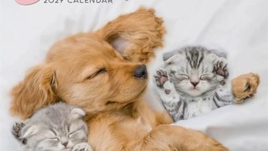 Best Friends Calendar 2027