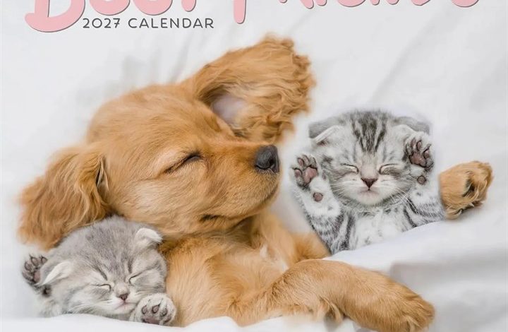 Best Friends Calendar 2027