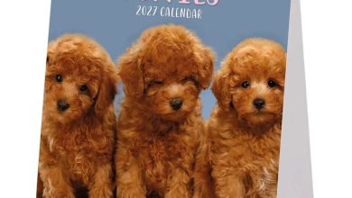 Puppies Easel Desk Calendar 2027