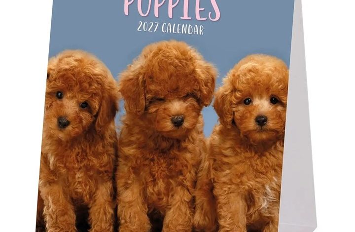 Puppies Easel Desk Calendar 2027