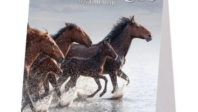 Wild Horses Easel Desk Calendar 2027